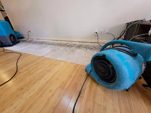 Professional Water Damage Repair technician working in Garretson, SD